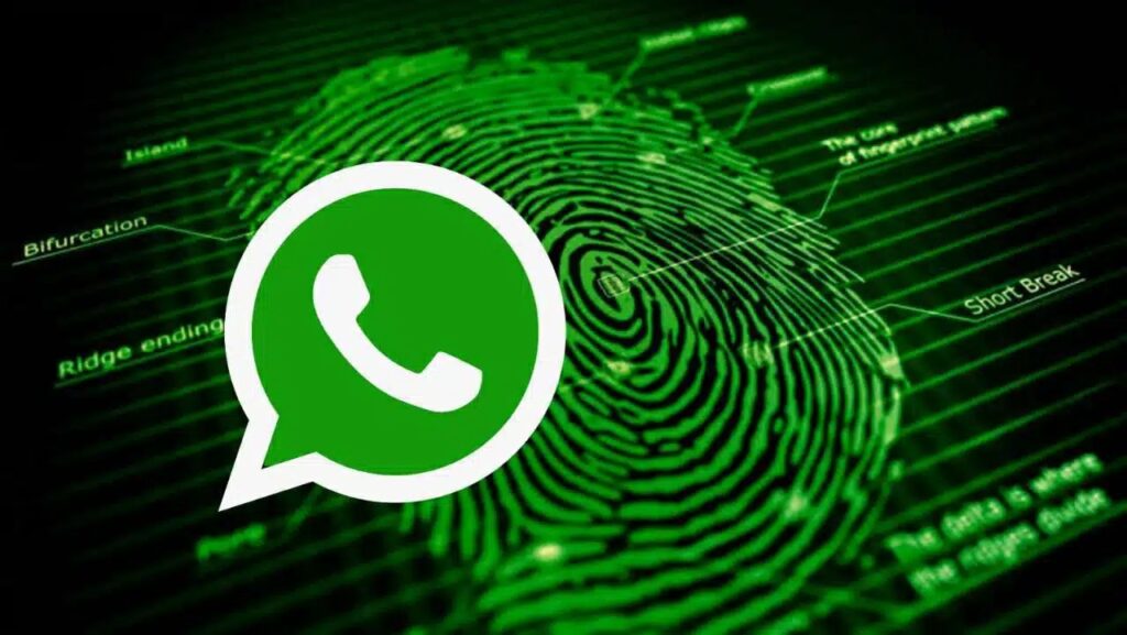 WhatsApp-指纹环境-2 - ChatKnow出海翻译软件