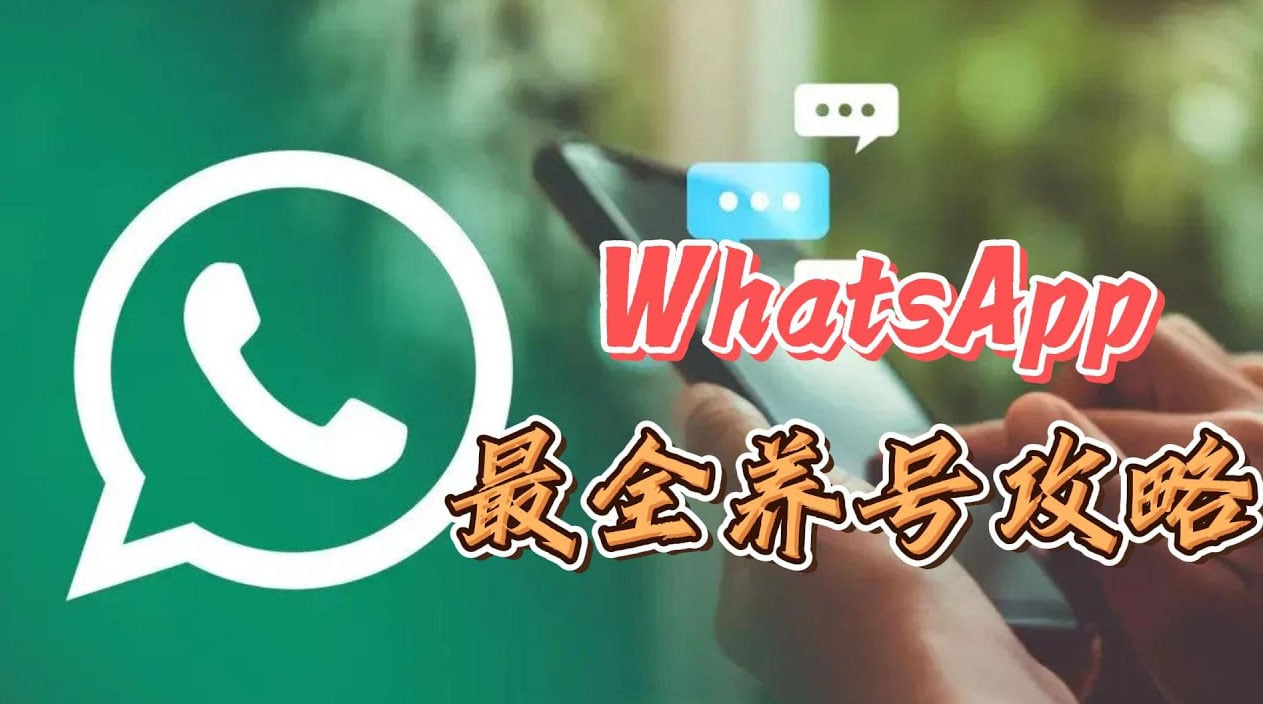 WhatsApp养号-2 - ChatKnow出海翻译软件